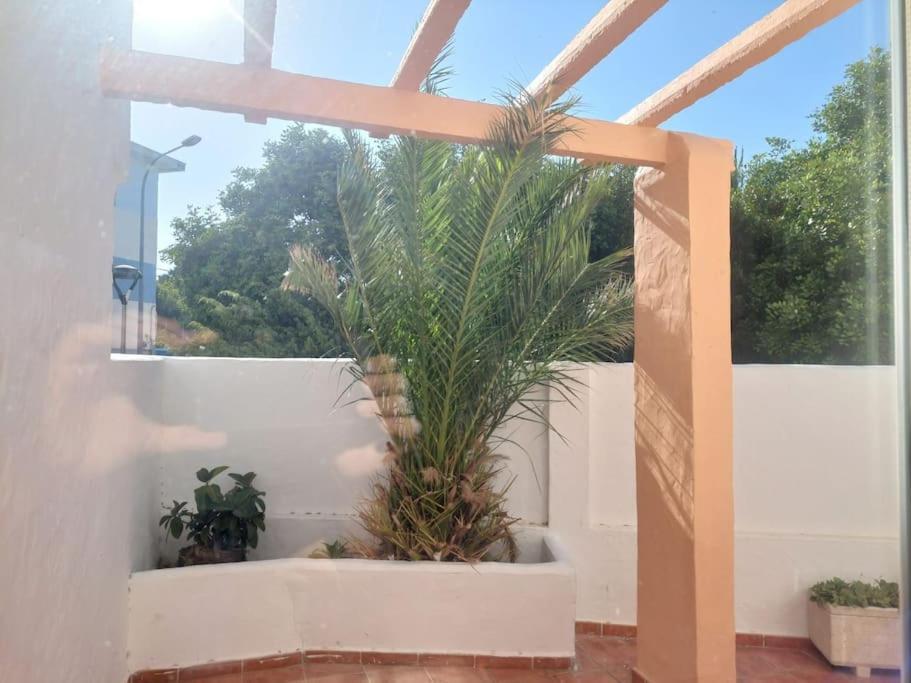 Piscina, Wifi, Patio Con Vistas Apartment Tarifa Exterior photo