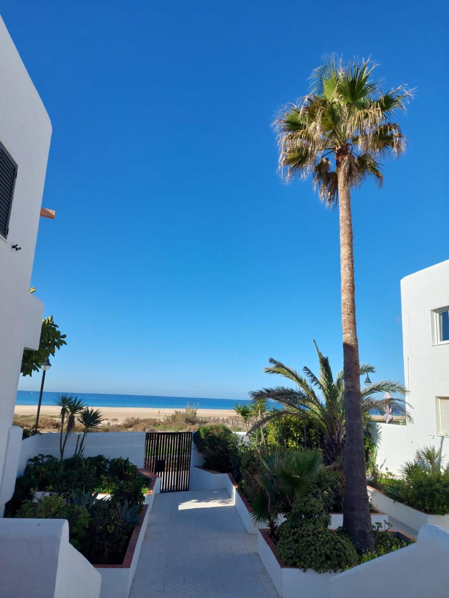 Piscina, Wifi, Patio Con Vistas Apartment Tarifa Exterior photo